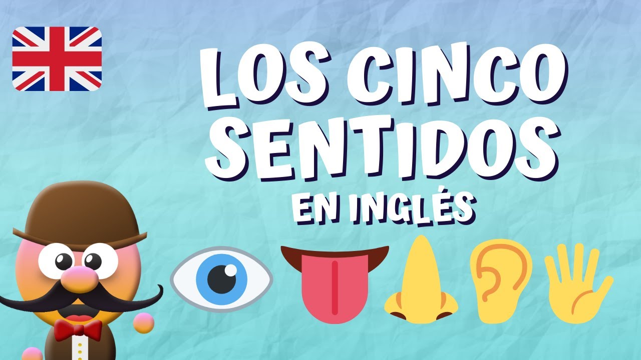 los cinco sentido en ingles