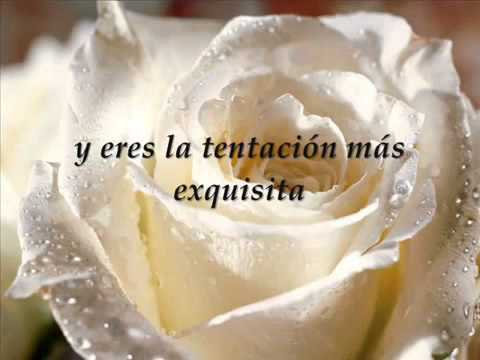nada se compara contigo letra