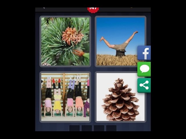 nivel 147 4 fotos 1 palabra