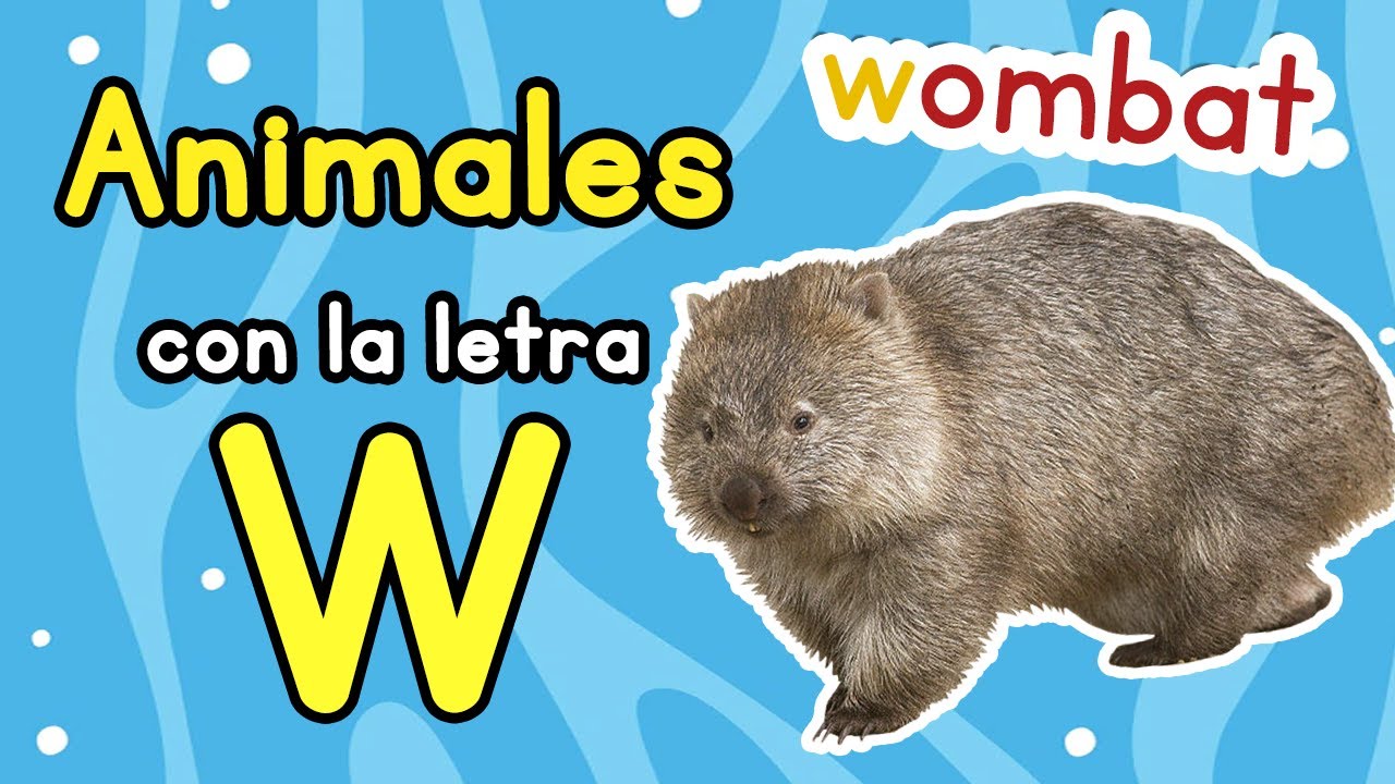 nombre de animal que empiece con w