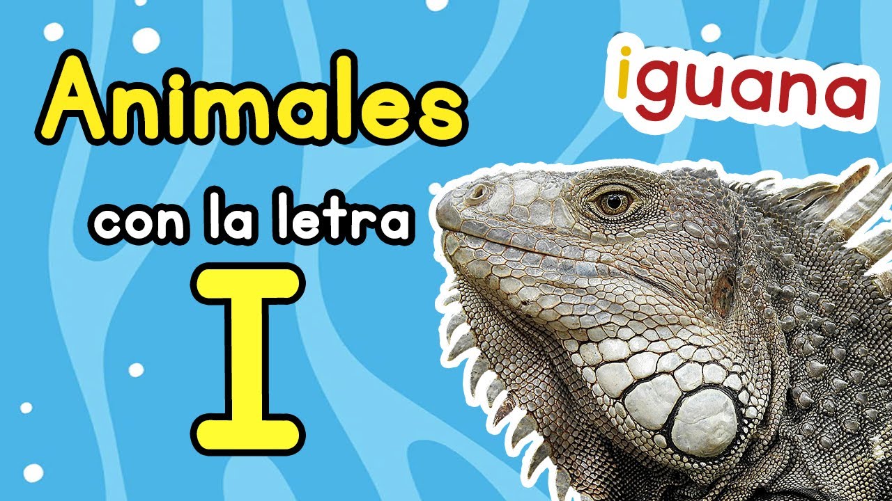 nombres de animales con la letra i