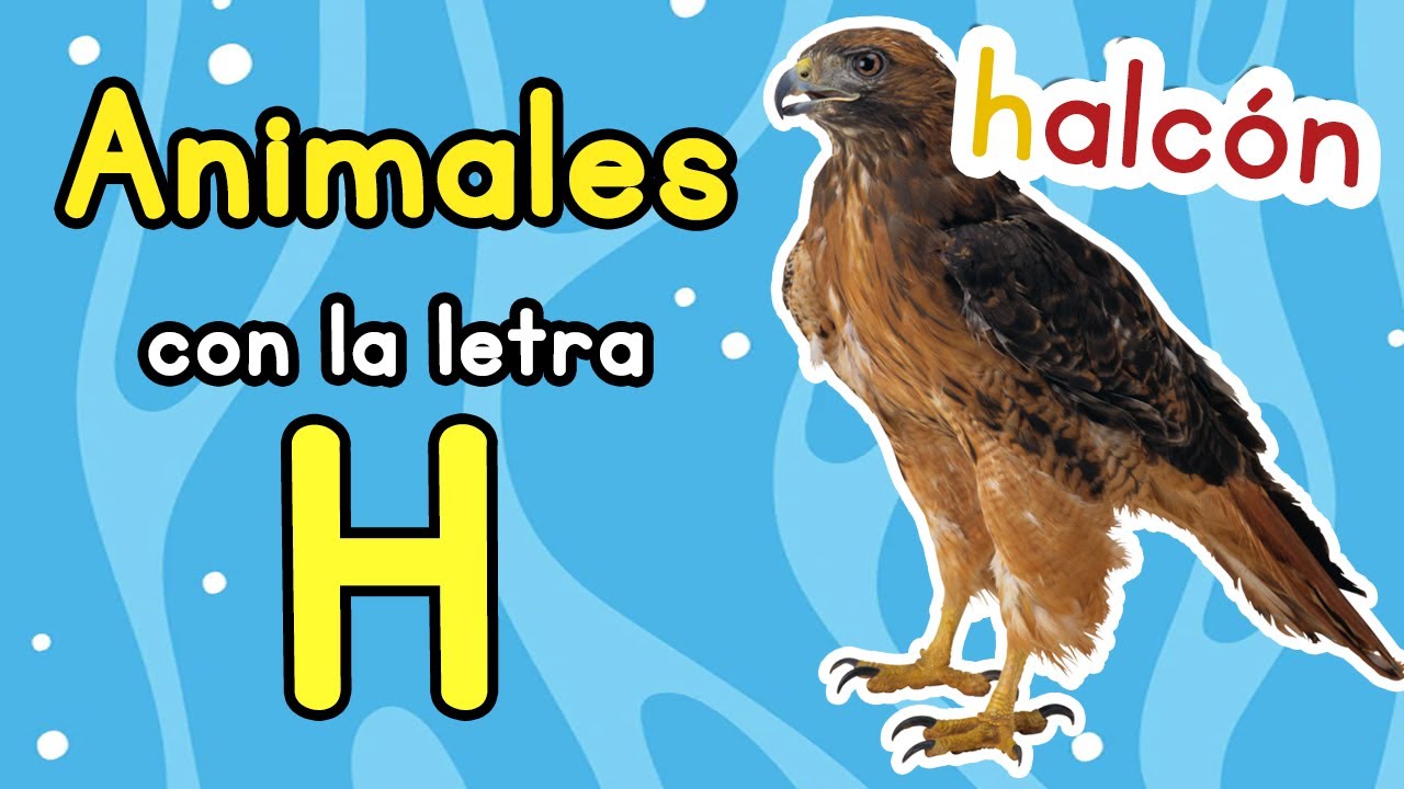 nombres de animales que empiecen con h