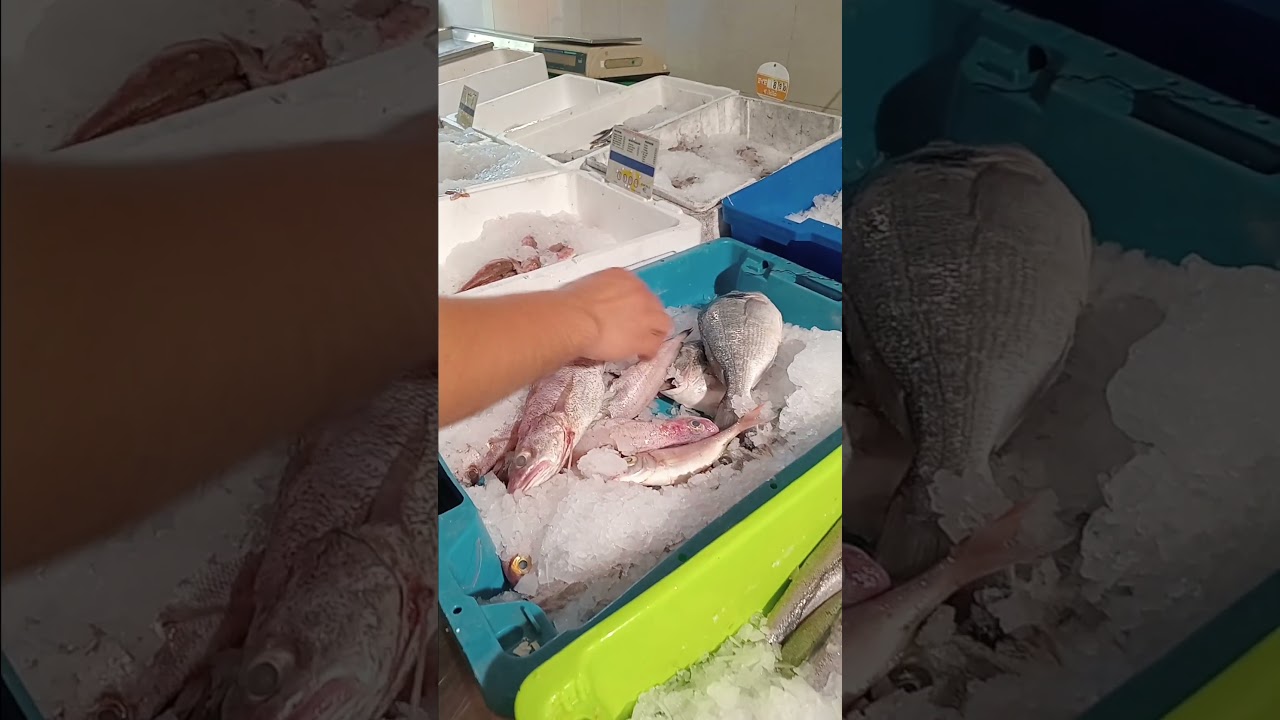 nombres de pescados en españa