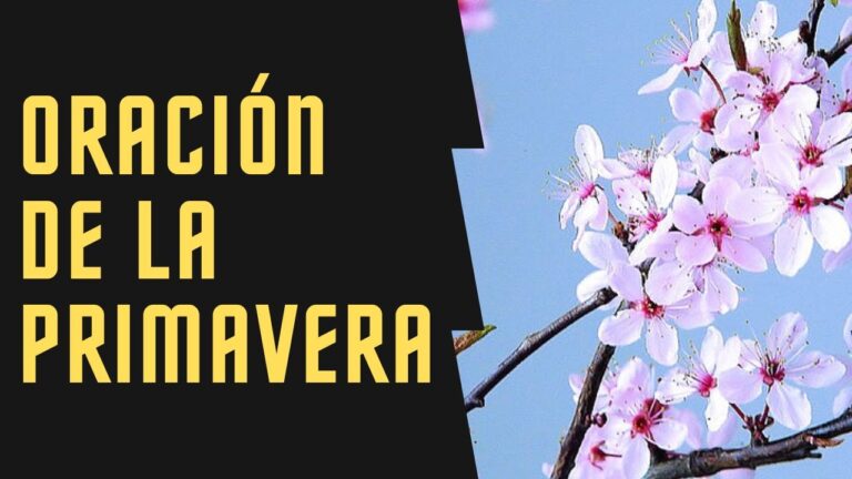 oraciones de la primavera para niños