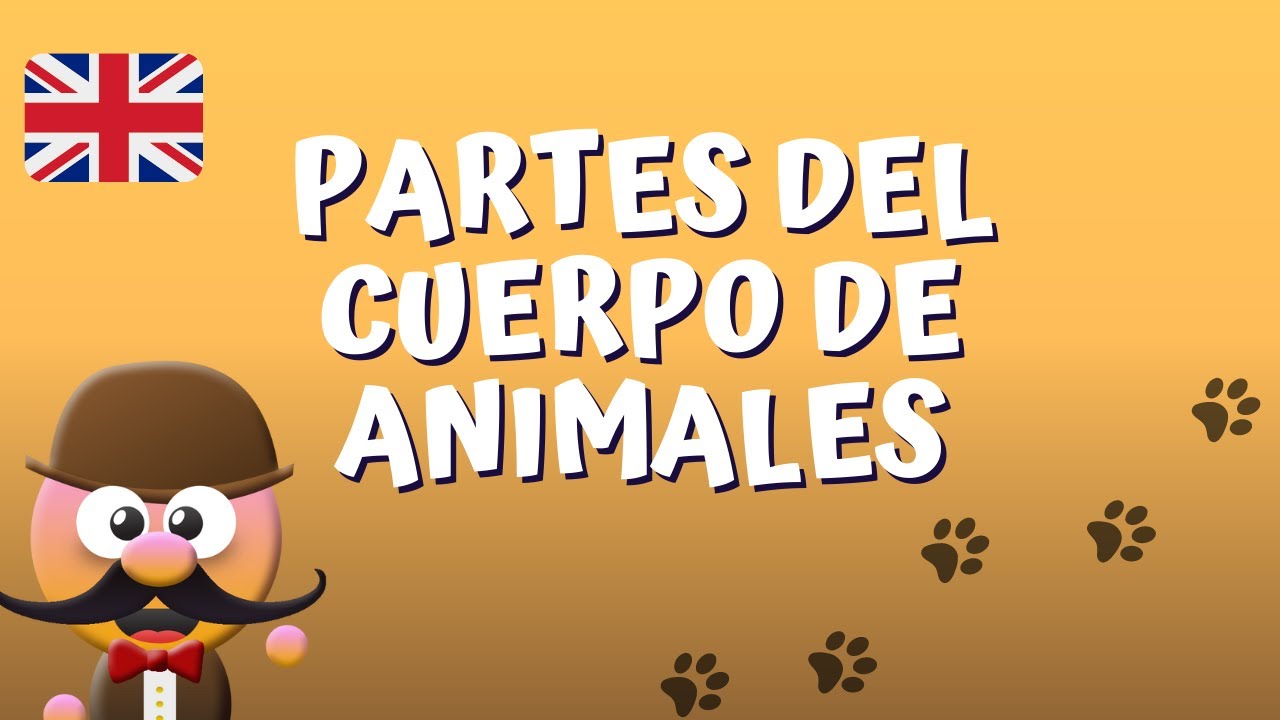 partes de animales en ingles para niños