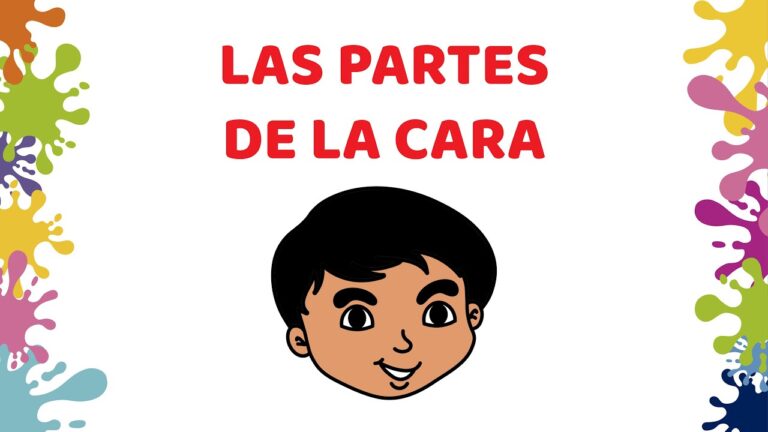 partes de la cara para imprimir y recortar