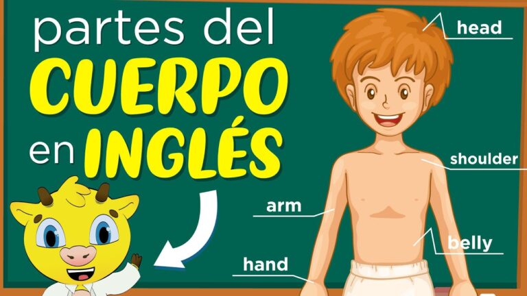 partes del cuerpo en ingles juegos