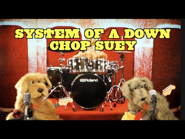 perro cantando system of a down
