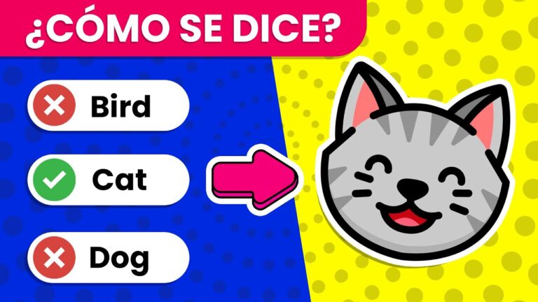 preguntas de animales en ingles y español