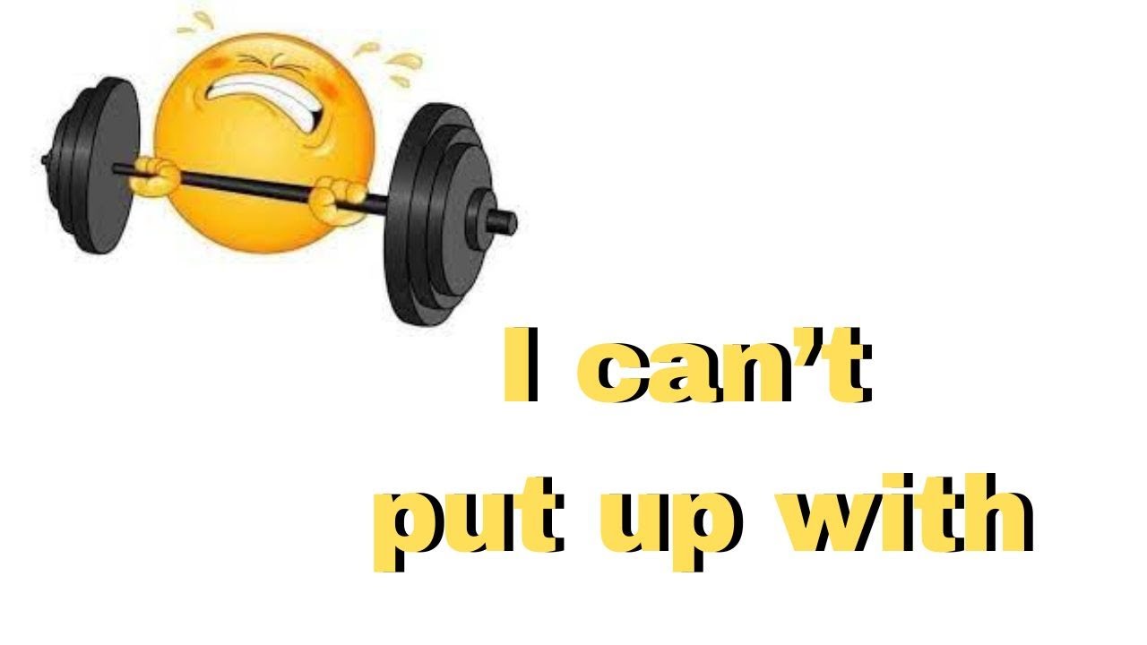 put up phrasal verb significado