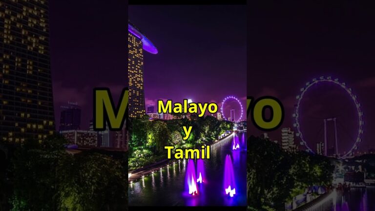 qué idioma se habla en singapur