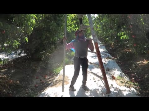 ropa para trabajar en el campo