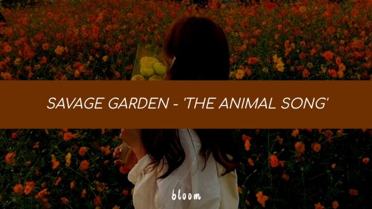 the animal song letra español