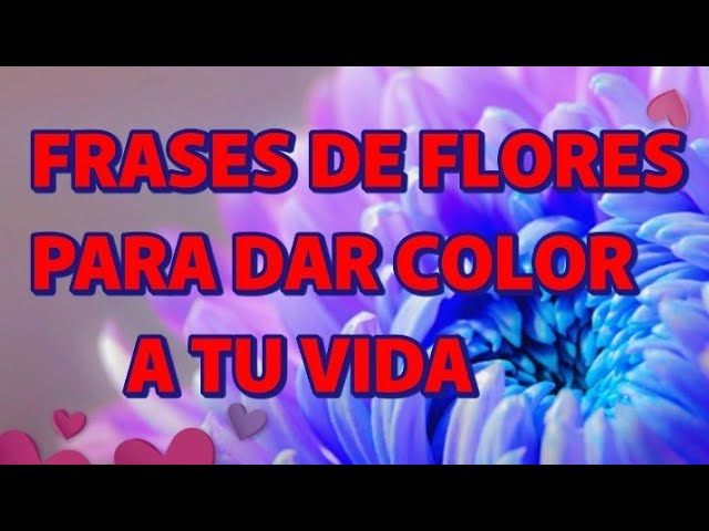 tu vida frases de colores