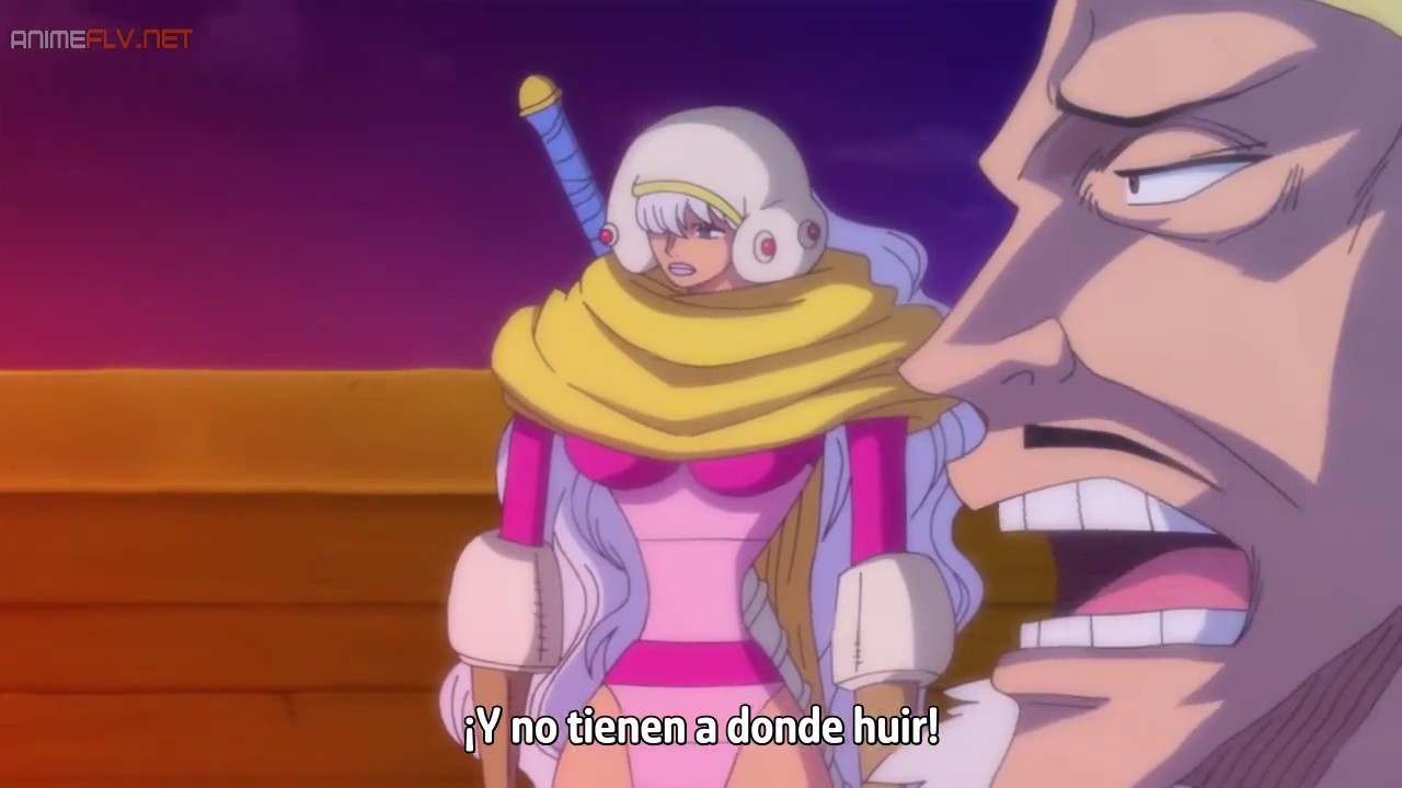 ver one piece cap 876 sub español