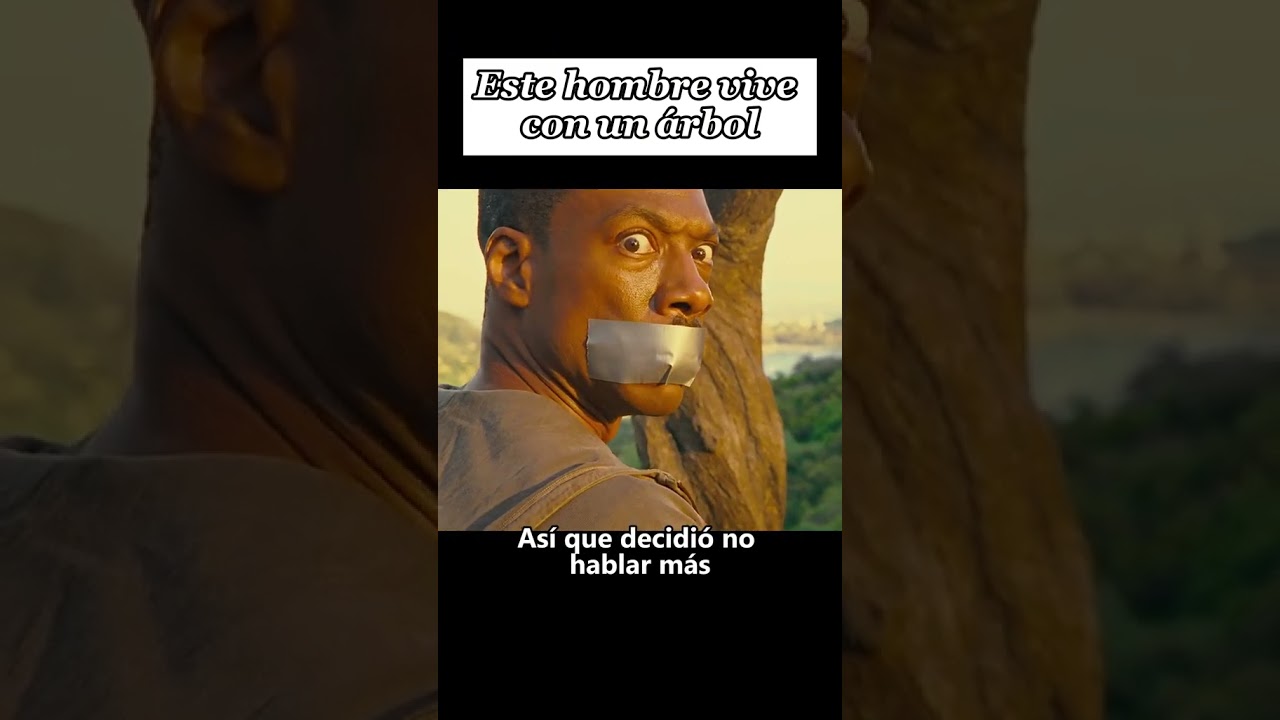 ver pelicula mil palabras online