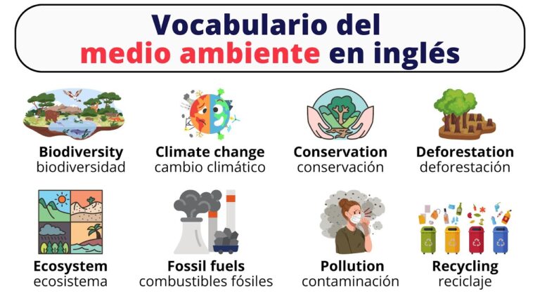 vocabulario del medio ambiente en ingles